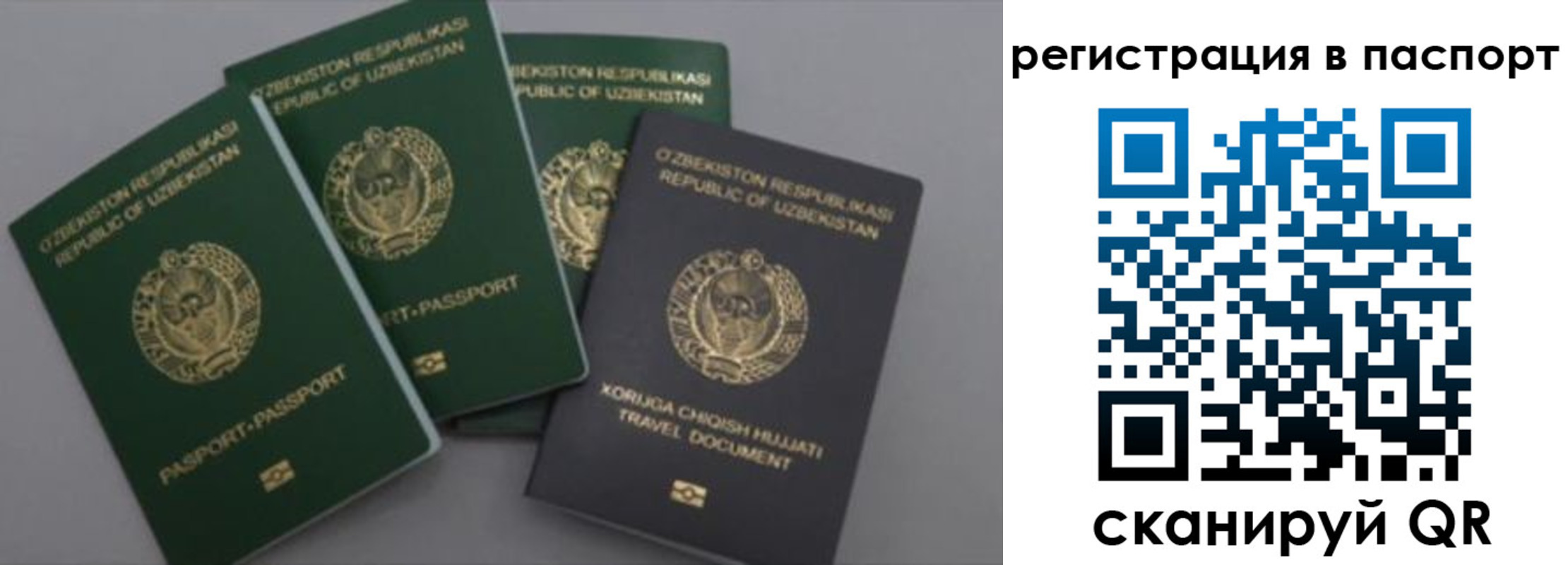 прописка от собственника в Сертолово
